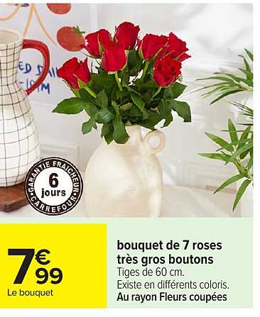bouquet de 7 roses très gros boutons