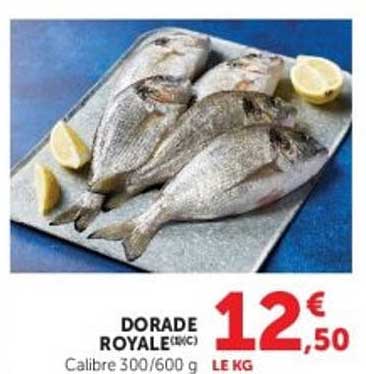 DORADE ROYALE (VIV)