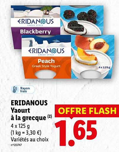 ERIDANOUS Yaourt à la grecque (2) 4 x 125 g (1 kg = 3,30 €) Variétés au choix n°120747