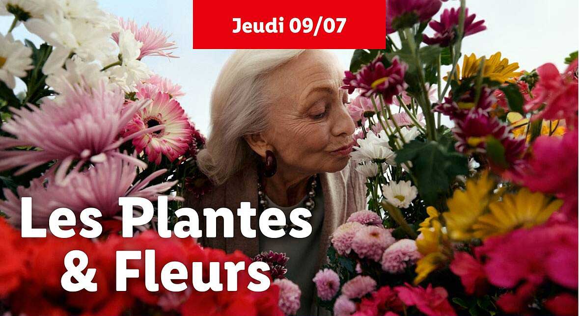 Les Plantes & Fleurs