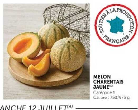 MELON CHARENTAIS JAUNE