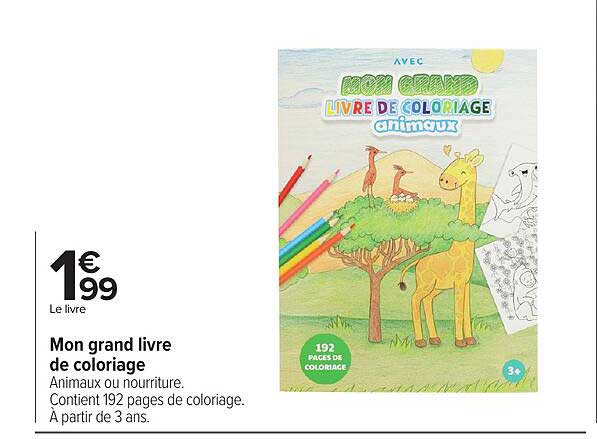 Mon grand livre de coloriage
