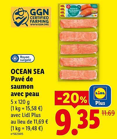 OCEAN SEA Pavé de saumon avec peau 5 x 120 g