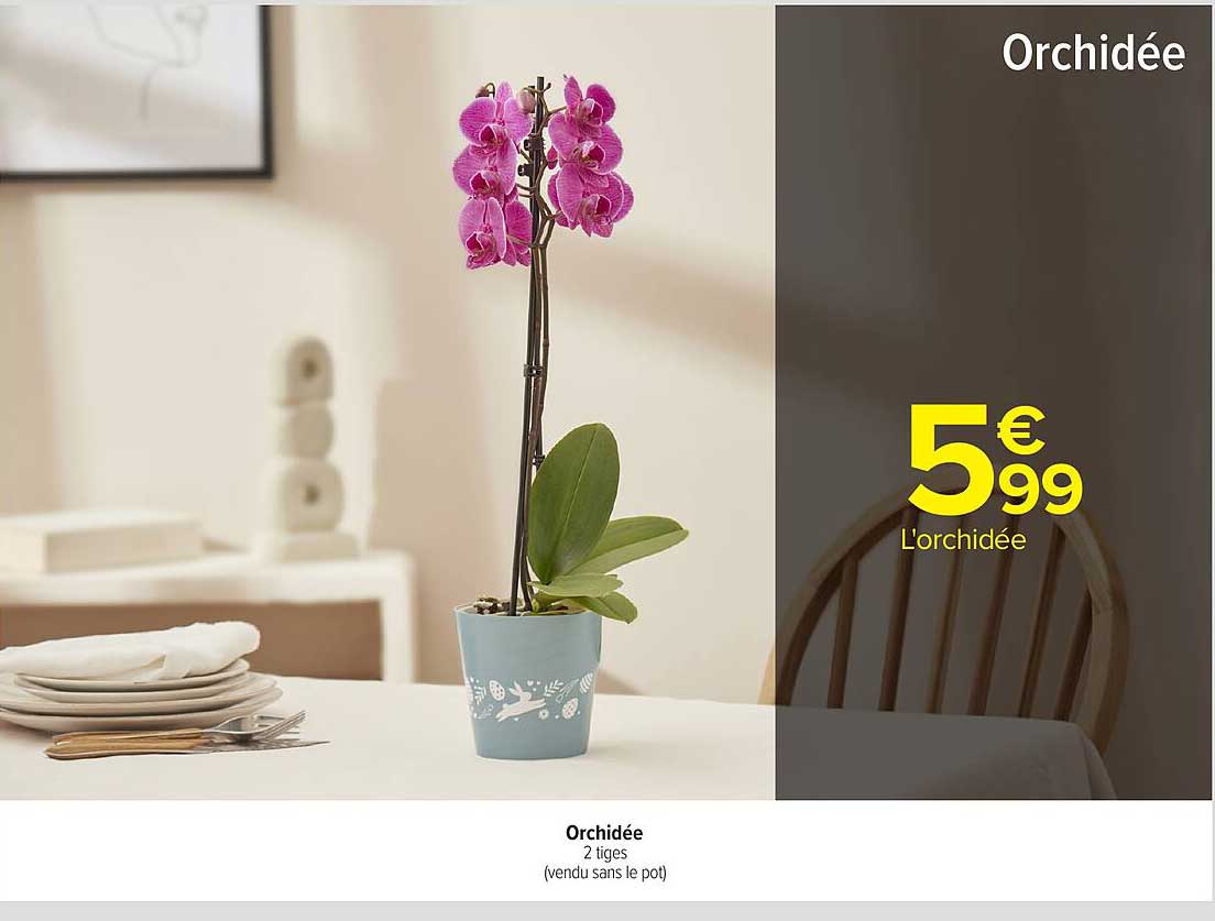 Orchidée