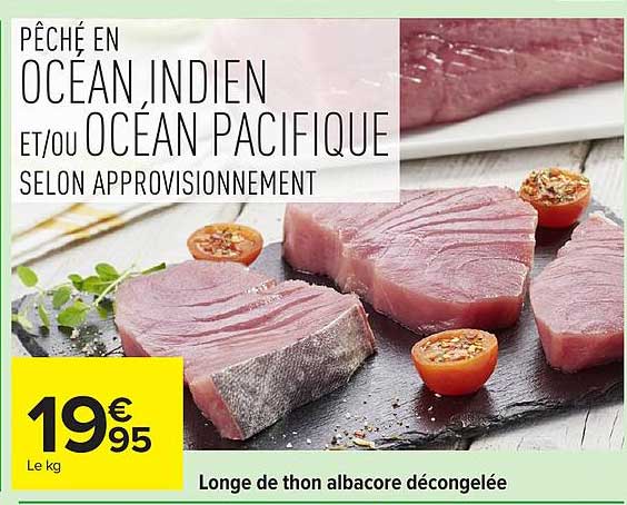 PÊCHÉ EN OCÉAN INDIEN ET/OU OCÉAN PACIFIQUE SELON APPROVISIONNEMENT