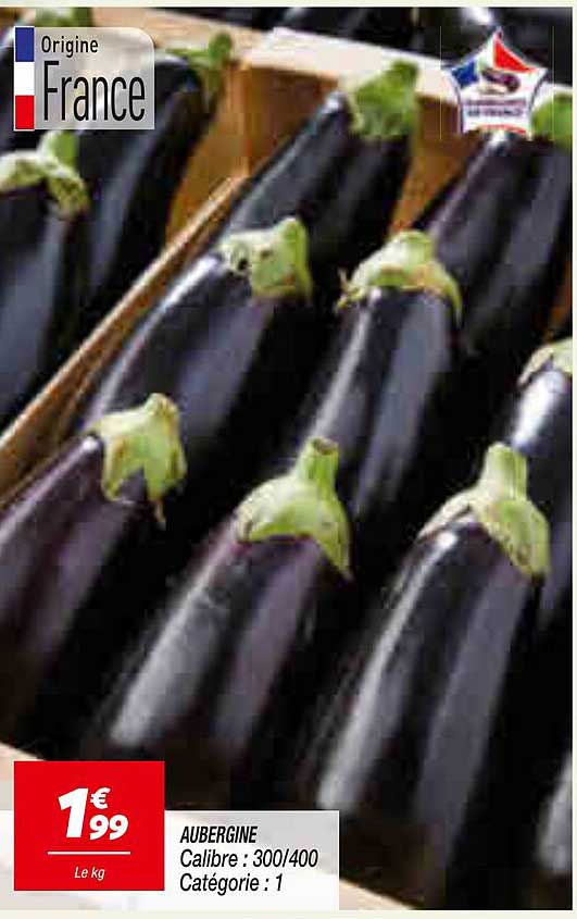 AUBERGINE Calibre : 300/400 Catégorie : 1