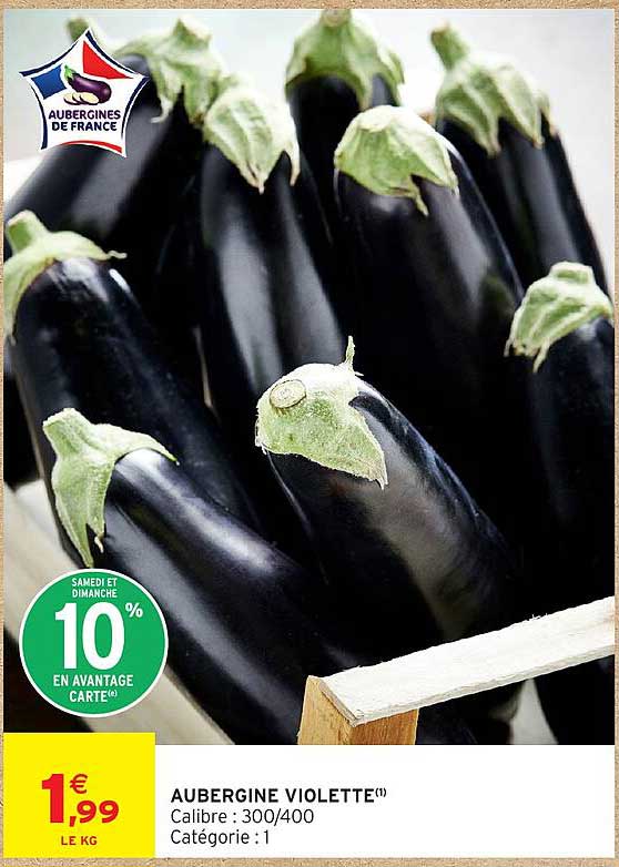 AUBERGINE VIOLETTE