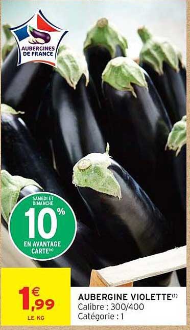 AUBERGINE VIOLETTE(1)