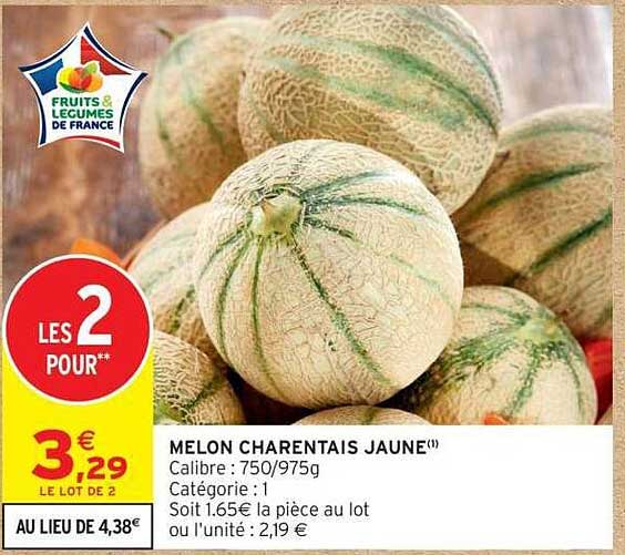 MELON CHARENTAIS JAUNE
