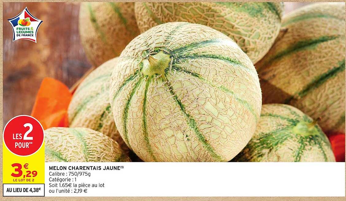 MELON CHARENTAIS JAUNE