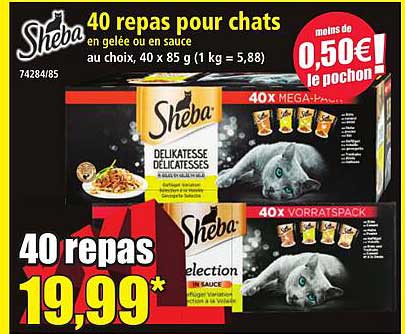 40 repas pour chats