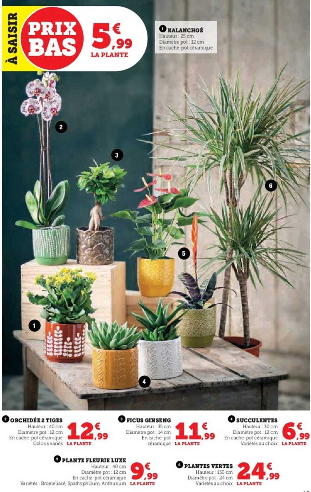 À saisir prix bas