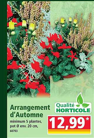 Arrangement d'Automne