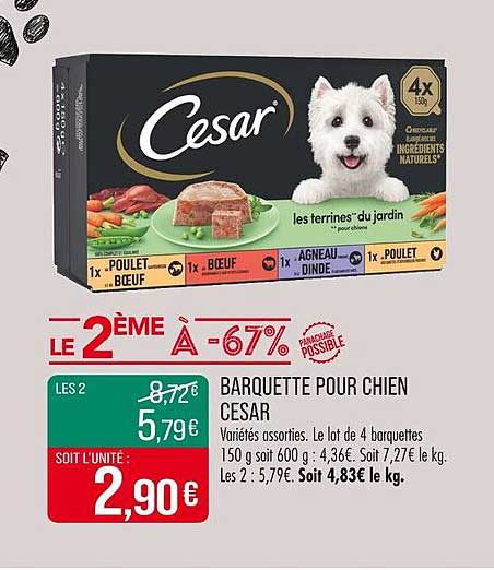 BARQUETTE POUR CHIEN CESAR