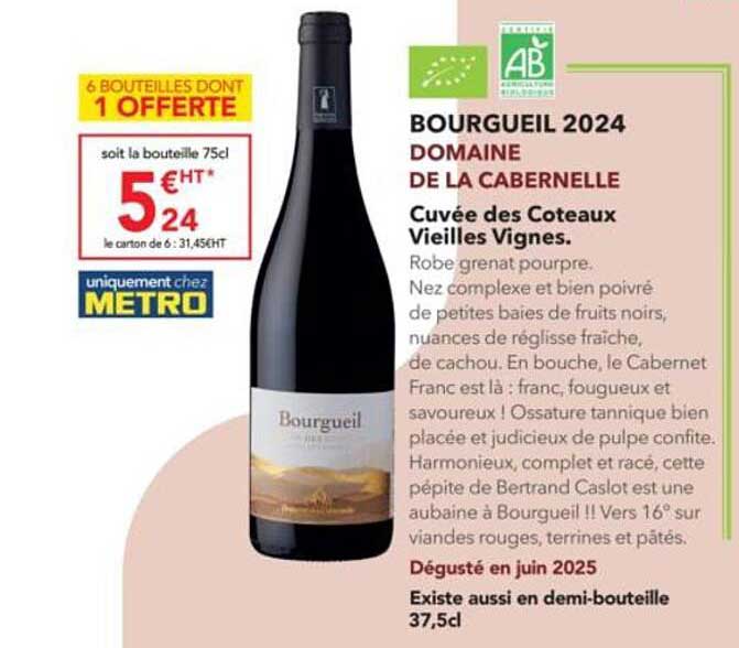 BOURGUEIL 2024 DOMAINE DE LA CABERNELLE