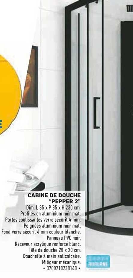 CABINE DE DOUCHE "PEPPER 2"