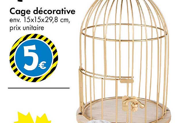Cage décorative