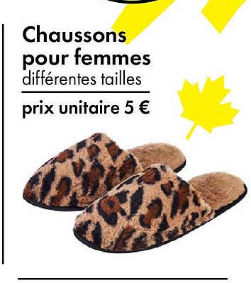 Chaussons pour femmes