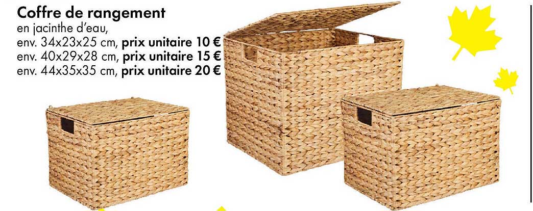 Coffre de rangement en jacinthe d'eau
