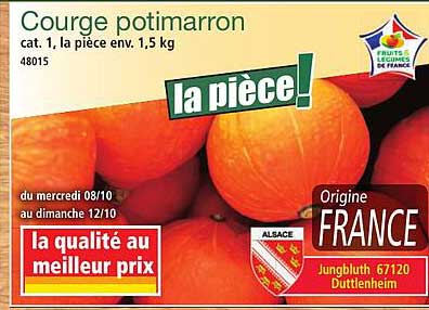 Courge potimarron