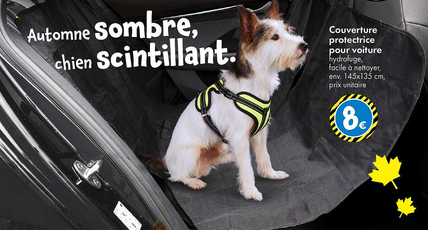 Couverture protectrice pour voiture