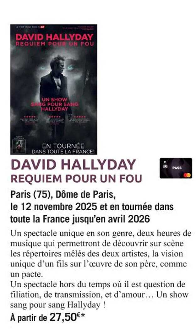 DAVID HALLYDAY REQUIEM POUR UN FOU