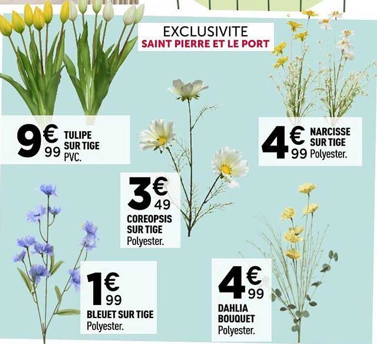 EXCLUSIVITE SAINT PIERRE ET LE PORT