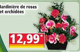 Jardinière de roses et orchidées