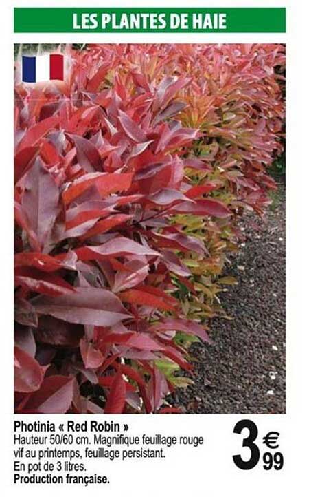 LES PLANTES DE HAIE