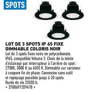 LOT DE 3 SPOTS IP 65 FIXE DIMMABLE COLORIS NOIR