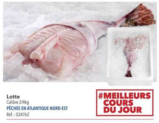 Lotte - Calibre 2/4kg