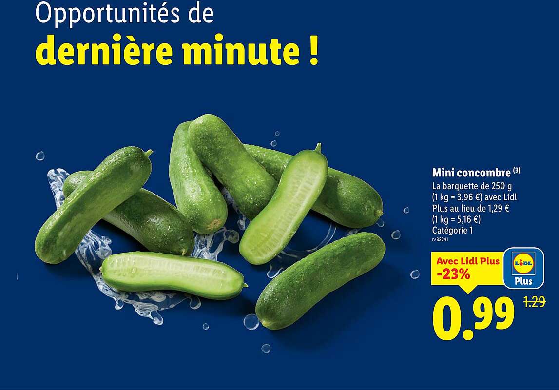 Mini concombre