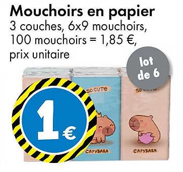 Mouchoirs en papier