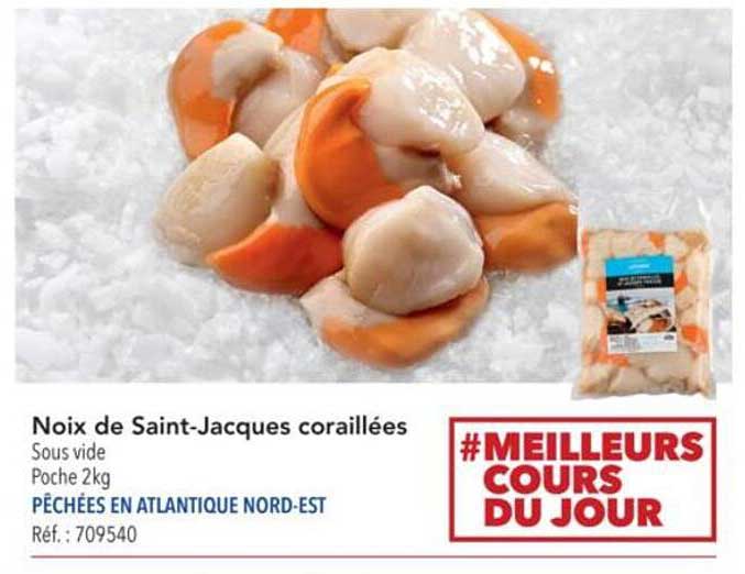 Noix de Saint-Jacques coraillées