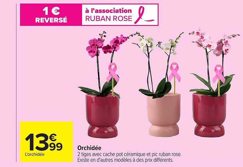 Orchidée
