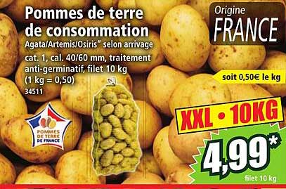 Pommes de terre de consommation