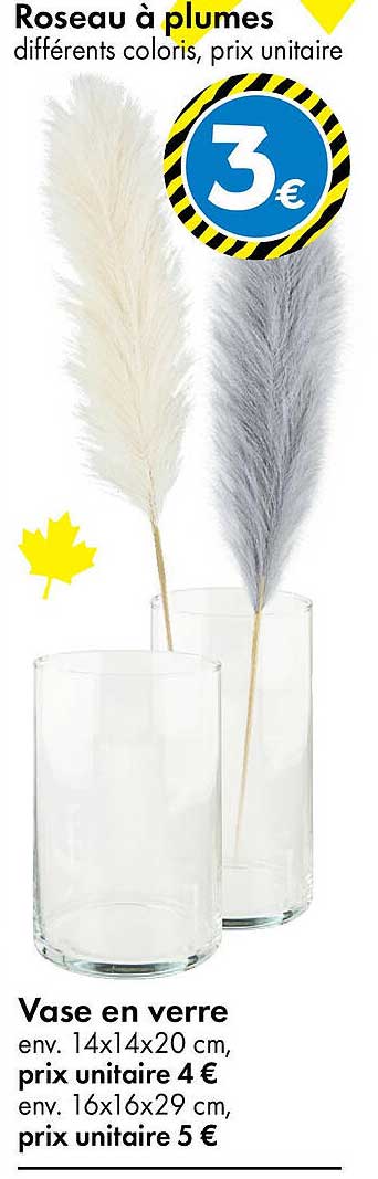Roseau à plumes différents coloris, prix unitaire
