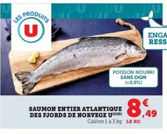 SAUMON ENTIERS ATLANTIQUE DES FJORDS DE NORVEGE U