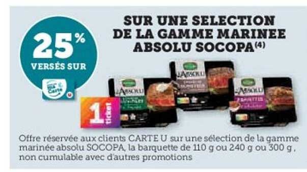 SUR UNE SELECTION DE LA GAMME MARINEE ABSOLU SOCOPA