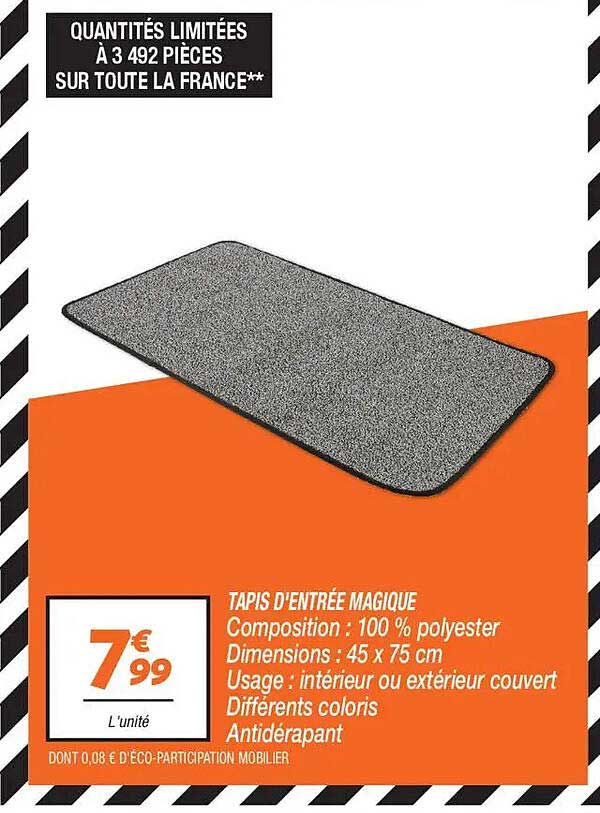 TAPIS D'ENTRÉE MAGIQUE