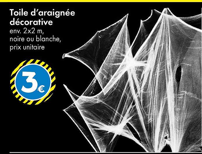 Toile d'araignée décorative