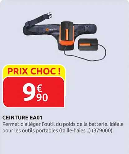 CEINTURE EA01