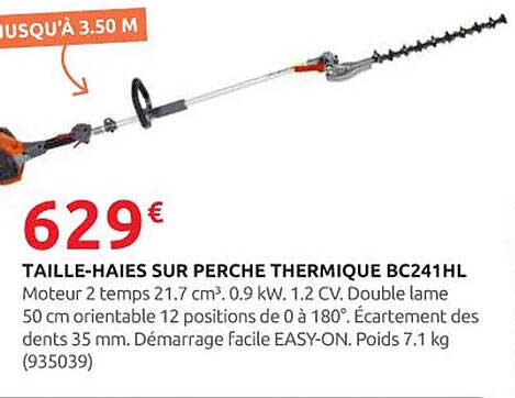TAILLE-HAIES SUR PERCHE THERMIQUE BC241HL
