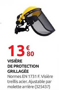 VISIÈRE DE PROTECTION GRILLAGÉE