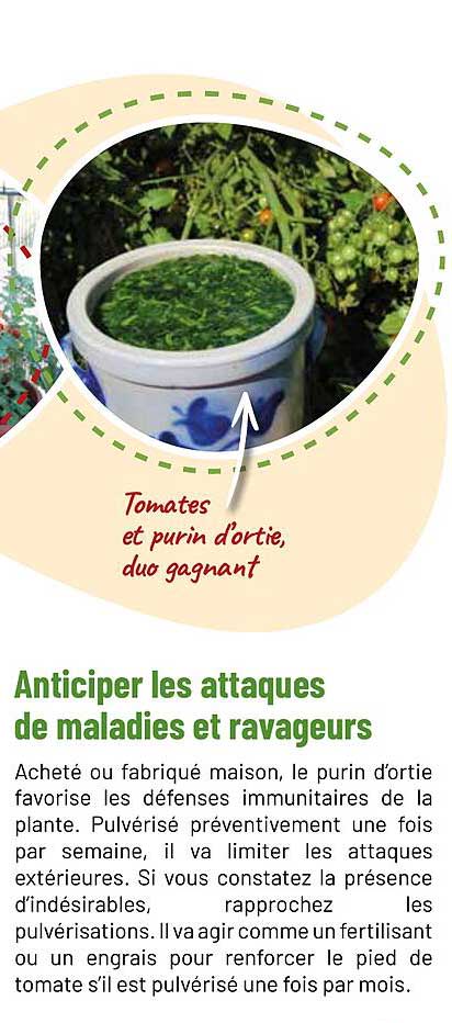 Anticiper les attaques de maladies et ravageurs