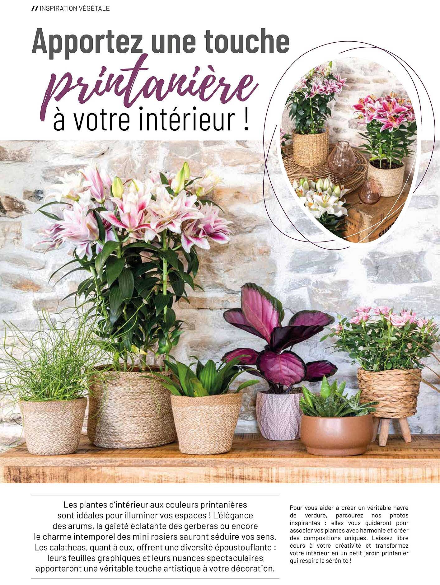 Apportez une touche printanière à votre intérieur !
