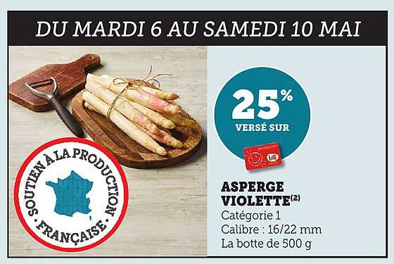 ASPERGE VIOLETTE