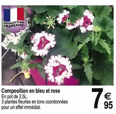 Composition en bleu et rose