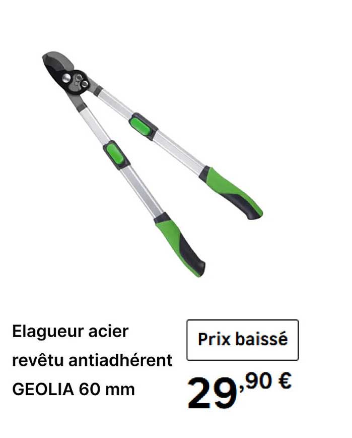 Elagueur acier revêtu antiadhérent GEOLIA 60 mm