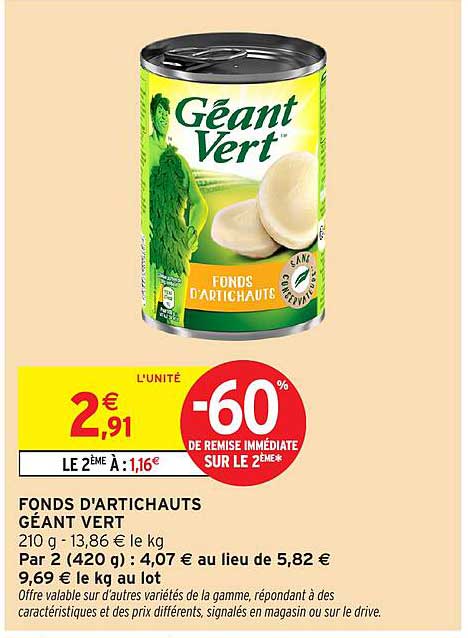 FONDS D'ARTICHAUTS GÉANT VERT